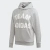 Adidas Hood - Grey, DX7957 1 Adidas Hood - Grey, DX7957