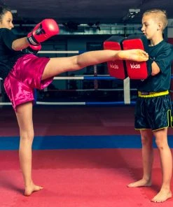 Fighter Kids Kick Pad - Pair, FKLT0003